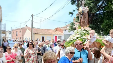 olmo