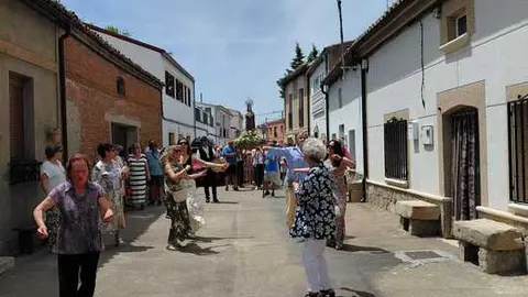 olmo7