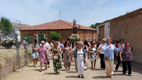 olmo11