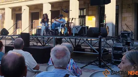 El escritor zamorano Tom&aacute;s S&aacute;nchez Santiago en el escenario de la Feria del libro