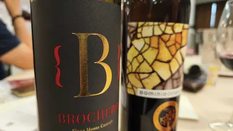 vino2