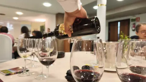 vino 1