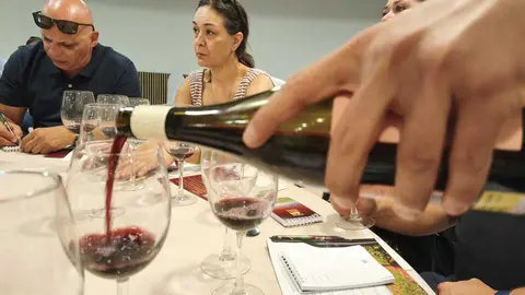 vino5