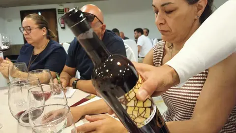 vino4