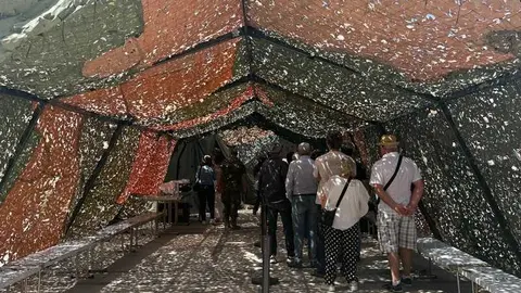 Zamora celebra el D&iacute;a de las Fuerzas Armadas_15
