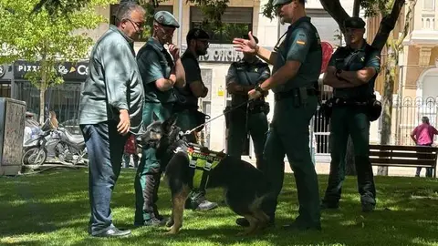 Zamora celebra el D&iacute;a de las Fuerzas Armadas_24