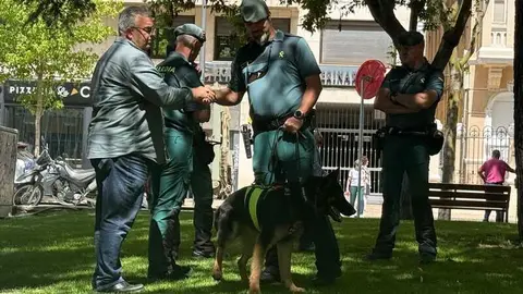 Zamora celebra el D&iacute;a de las Fuerzas Armadas_25
