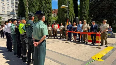 Zamora celebra el D&iacute;a de las Fuerzas Armadas_38