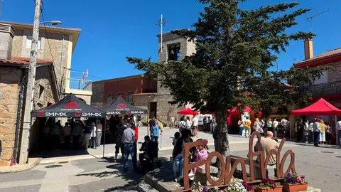 fonfr&iacute;a caracoles