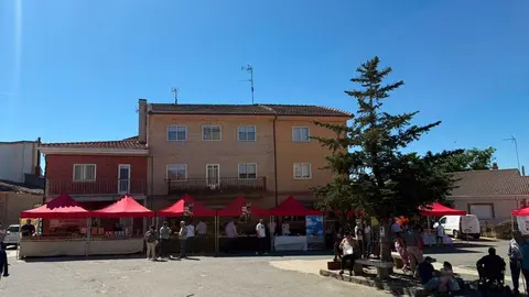 FONFR&Iacute;A 1
