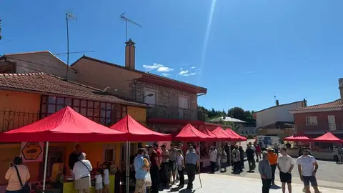FONFR&Iacute;A 3