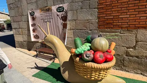 FONFR&Iacute;A 5