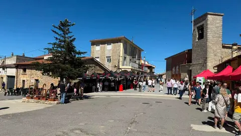 FONFR&Iacute;A &ordm;