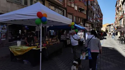 Fiesta del comercio El Riego _6