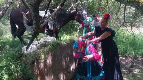   Camino Flamenco Andavias