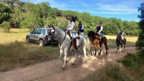   Camino Flamenco Andavias_12