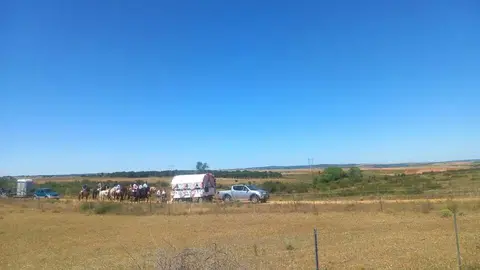   Camino Flamenco Andavias_13