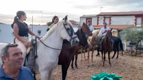   Camino Flamenco Andavias_14