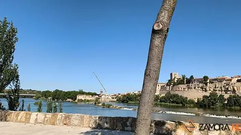 Gr&uacute;a en Las ace&ntilde;as de Olivares