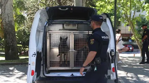  lares participar&aacute;n ma&ntilde;ana en la I Jornada de Seguridad y Primeros Auxilios Zamora _2