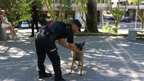  lares participar&aacute;n ma&ntilde;ana en la I Jornada de Seguridad y Primeros Auxilios Zamora _3