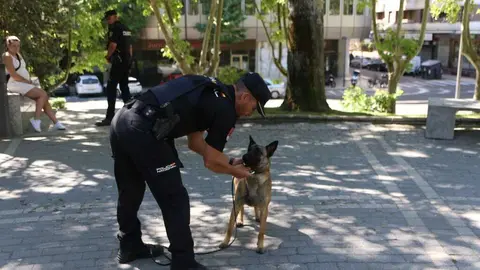  lares participar&aacute;n ma&ntilde;ana en la I Jornada de Seguridad y Primeros Auxilios Zamora _7