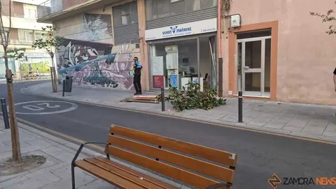 Accidente Zamora _5
