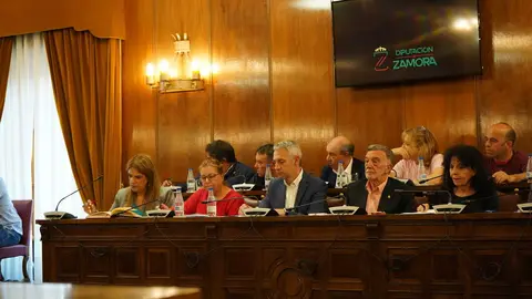 Grupo Socialista en la Diputaci&oacute;n de Zamora