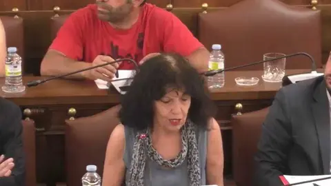 pleno diputaci&oacute;n