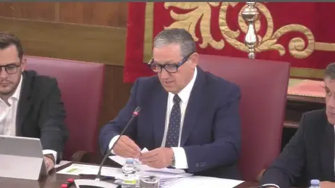 pleno diputaci&oacute;n