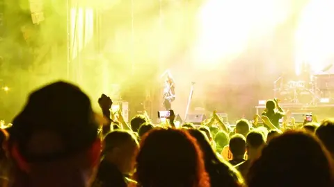 z live viernes _37