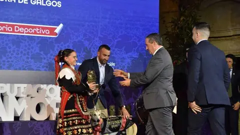 d&iacute;a de la provincia 2026 en Moraleja del Vino_70