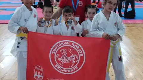 Shotokan Karate Benavente