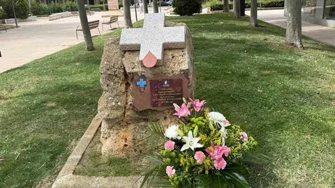 d&iacute;a del donante de sangre en Zamora_10