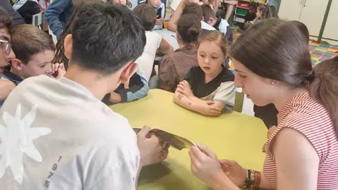 proyecto en el Colegio Sagrado Coraz&oacute;n de Jes&uacute;s. IMAGEN CEDIDA (6)