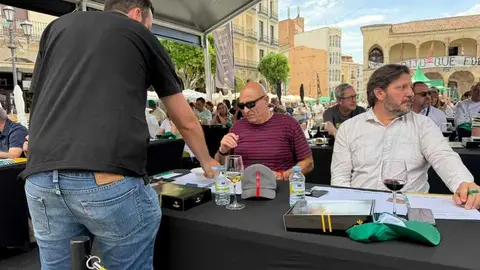 degustaci&oacute;n de callos en Zamora _6