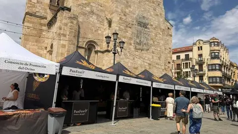 degustaci&oacute;n de callos en Zamora _18