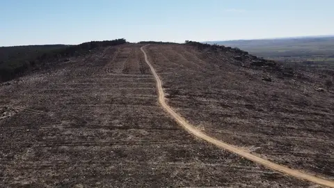 Estado de la Sierra de la Culebra tras el incendio.Fotograf&iacute;a: Zamora Viva. Imagen de archivo
