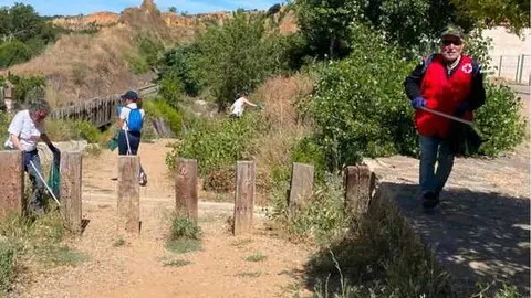 Voluntarios de Cruz Roja recogen basura en Toro