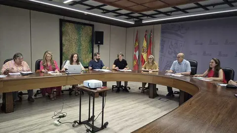 Comisi&oacute;n Patrimonio Junio 1