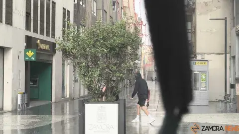 Lluvia  de verano Zamora _2