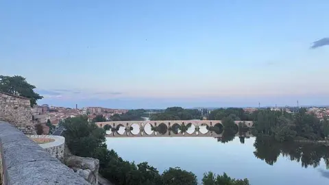 Zamora_3