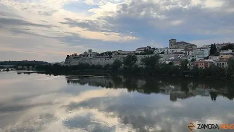 Zamora_4