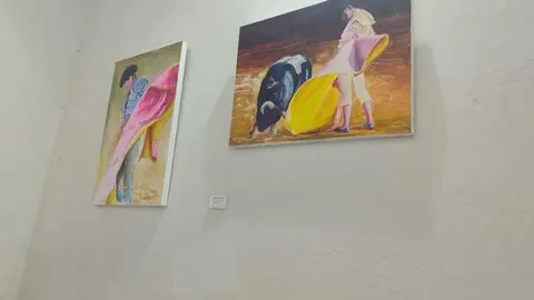 Manuel Diosleguarde, torero en Zamora_9