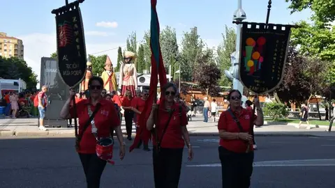 desfile de pe&ntilde;as San Pedro Zamora 2026_7