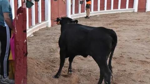 Grand Prix de Pe&ntilde;as _84