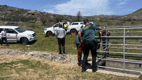 rescate de un Toro en Sanabria  (1)