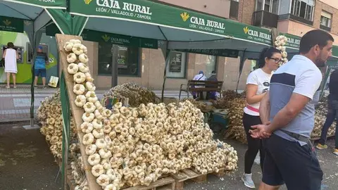 feria del ajo de Zamora 2026
