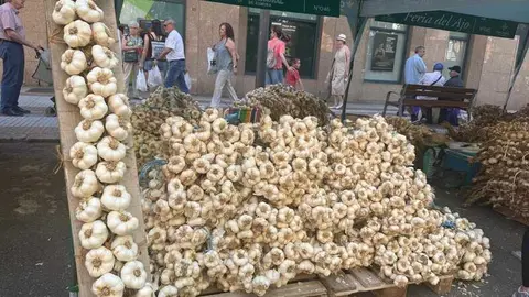 feria del ajo de Zamora 2026_2
