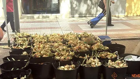 feria del ajo de Zamora 2026_6